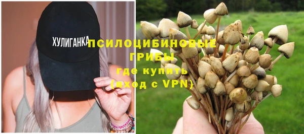 дурь Приозерск